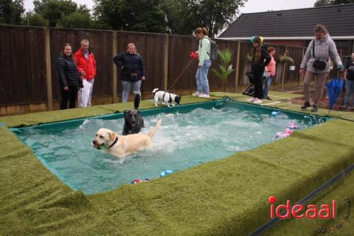 10 jaar Menno's Dierenwereld in Varsseveld (13-07-2024)