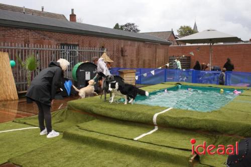 10 jaar Menno's Dierenwereld in Varsseveld (13-07-2024)