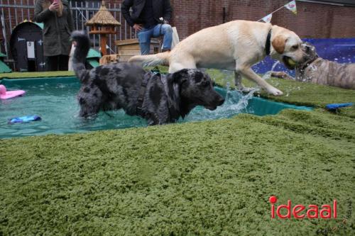 10 jaar Menno's Dierenwereld in Varsseveld (13-07-2024)