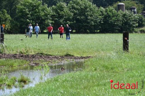 De Koekkoek Boerengolf wedstrijd (14-07-2024)