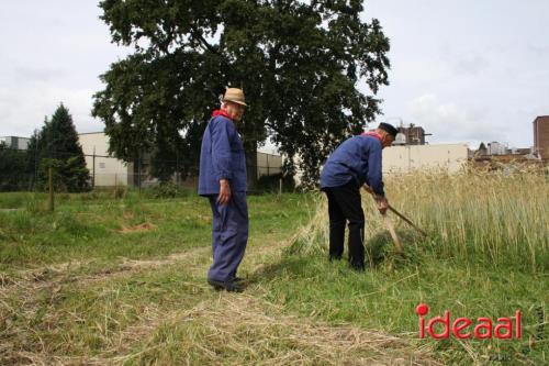 Folkloristisch Zomerfeest bij Museum Smedekinck - deel 1 (04-08-2024)