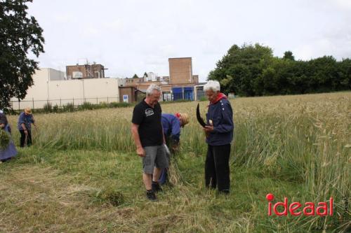 Folkloristisch Zomerfeest bij Museum Smedekinck - deel 1 (04-08-2024)