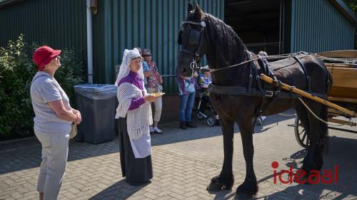 Kastelenrit Vorden (11-08-2024)