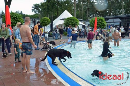 Hondenzwemmen in Vorden (15-09-2024)