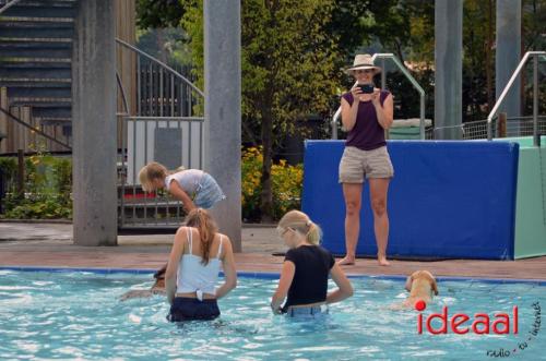 Hondenzwemmen in Vorden (15-09-2024)