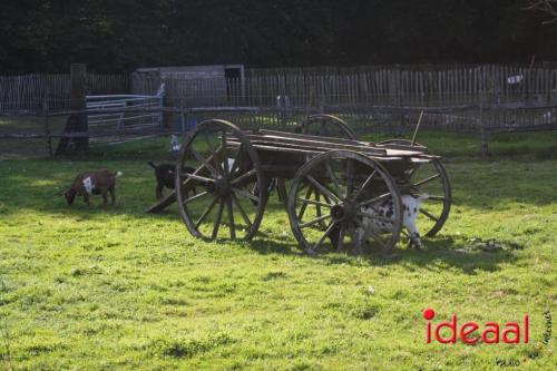 Slangenburgse Nazomerdagen (22-09-2024)