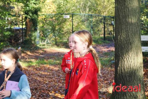 Grote Veldloop Vorden - deel 1 (03-11-2024)