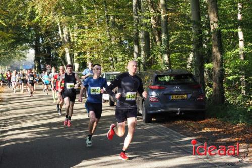 Grote Veldloop Vorden - deel 1 (03-11-2024)