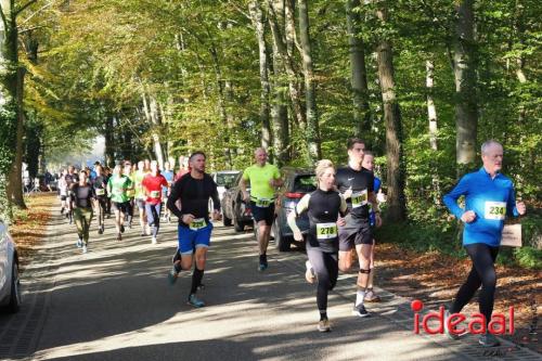 Grote Veldloop Vorden - deel 1 (03-11-2024)