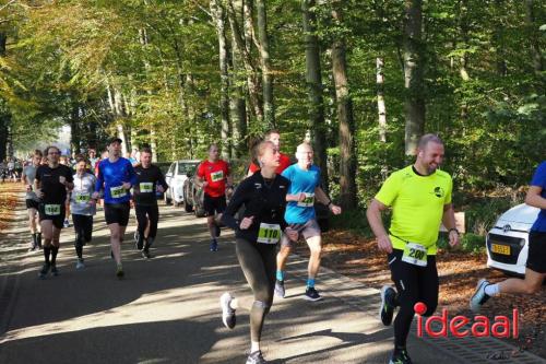 Grote Veldloop Vorden - deel 1 (03-11-2024)