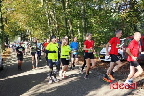 Grote Veldloop Vorden - deel 1 (03-11-2024)