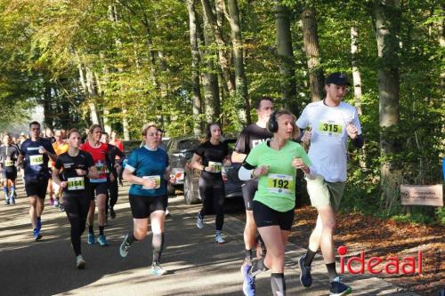 Grote Veldloop Vorden - deel 1 (03-11-2024)