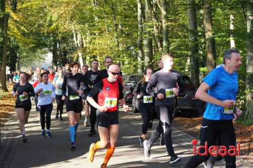 Grote Veldloop Vorden - deel 1 (03-11-2024)