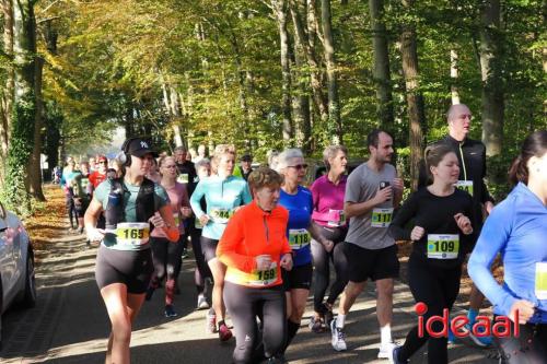 Grote Veldloop Vorden - deel 1 (03-11-2024)