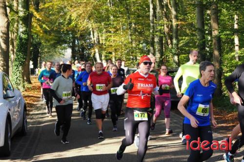 Grote Veldloop Vorden - deel 1 (03-11-2024)