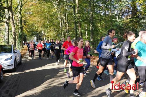 Grote Veldloop Vorden - deel 1 (03-11-2024)