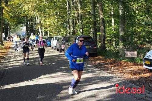 Grote Veldloop Vorden - deel 1 (03-11-2024)