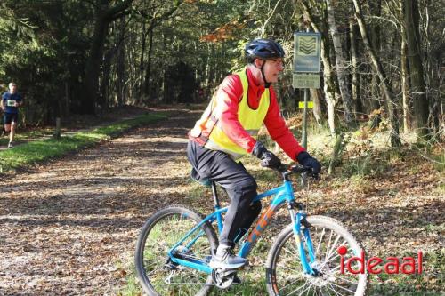 Grote Veldloop Vorden - deel 1 (03-11-2024)