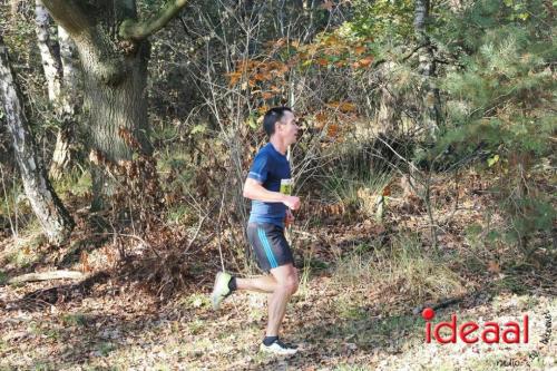 Grote Veldloop Vorden - deel 1 (03-11-2024)