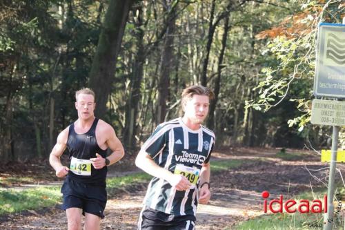 Grote Veldloop Vorden - deel 1 (03-11-2024)