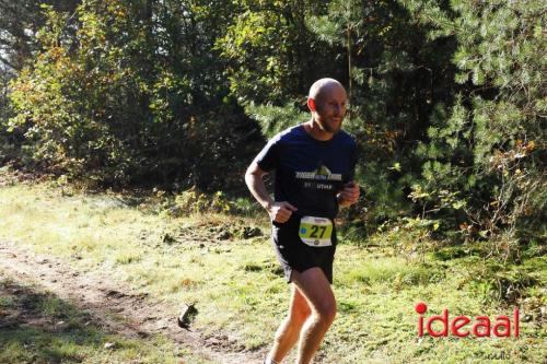 Grote Veldloop Vorden - deel 1 (03-11-2024)