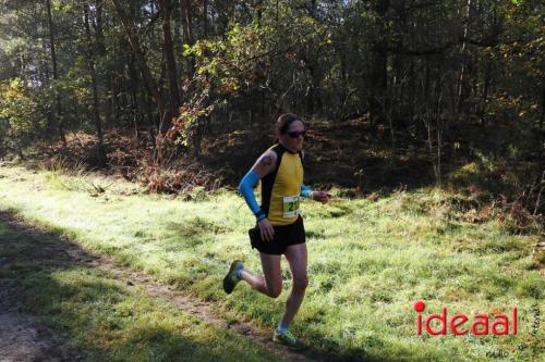 Grote Veldloop Vorden - deel 1 (03-11-2024)