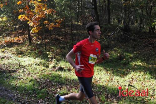 Grote Veldloop Vorden - deel 1 (03-11-2024)