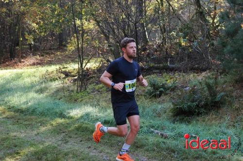 Grote Veldloop Vorden - deel 1 (03-11-2024)