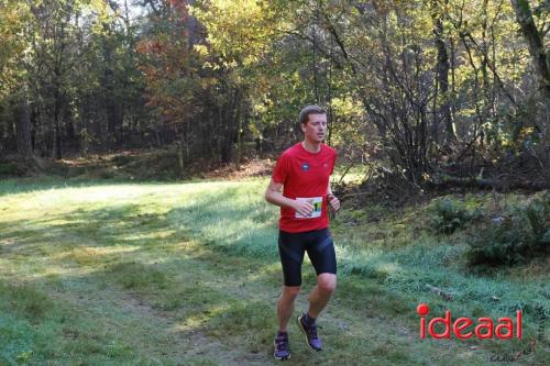 Grote Veldloop Vorden - deel 1 (03-11-2024)