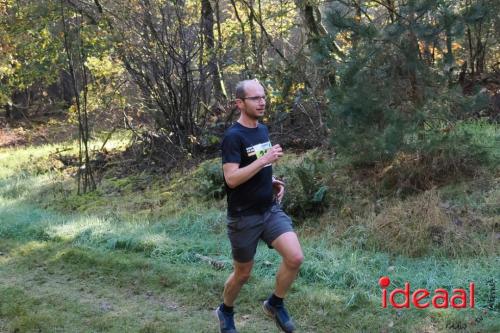 Grote Veldloop Vorden - deel 1 (03-11-2024)