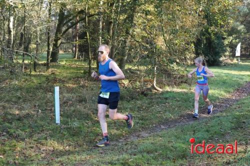 Grote Veldloop Vorden - deel 1 (03-11-2024)