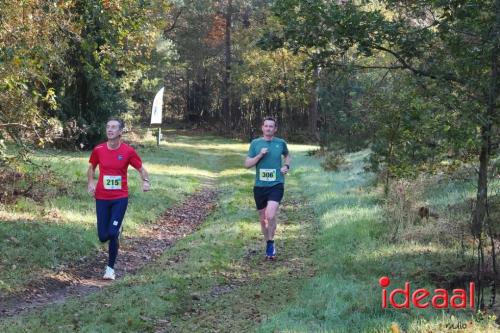 Grote Veldloop Vorden - deel 1 (03-11-2024)