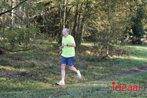 Grote Veldloop Vorden - deel 1 (03-11-2024)