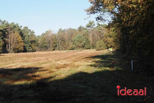 Grote Veldloop Vorden - deel 1 (03-11-2024)