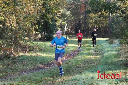 Grote Veldloop Vorden - deel 1 (03-11-2024)