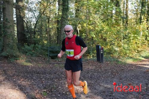 Grote Veldloop Vorden - deel 2 (03-11-2024)