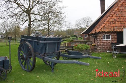 Slachtvisite bij Het Hofshuus in Varsseveld (09-11-2024)