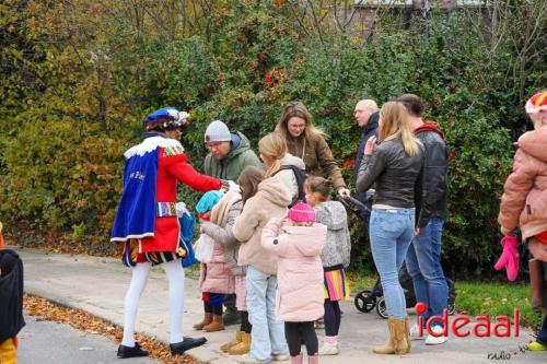 Sinterklaasintocht in Warnsveld - deel 2 (16-11-2024)