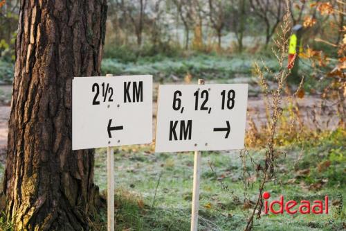 Joppe Speculaaspoppenloop-2024