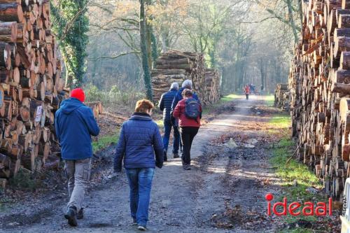 Ruurlo Midwinterhoorn wandeling 2024