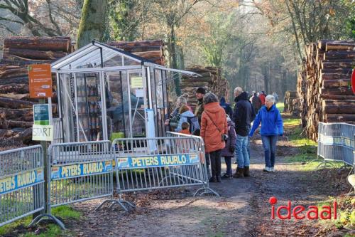 Ruurlo Midwinterhoorn wandeling 2024