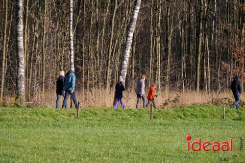 Ruurlo Midwinterhoorn wandeling 2024