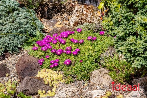 Gorssel Open Tuindag 2025