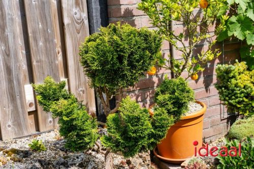 Gorssel Open Tuindag 2025