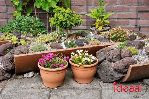 Gorssel Open Tuindag 2025