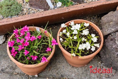 Gorssel Open Tuindag 2025