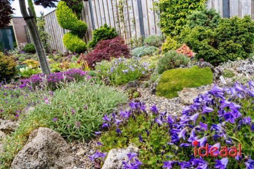 Gorssel Open Tuindag 2025