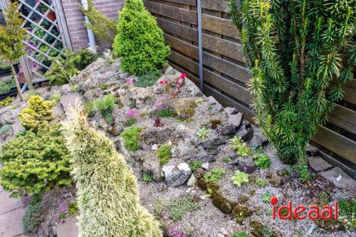 Gorssel Open Tuindag 2025