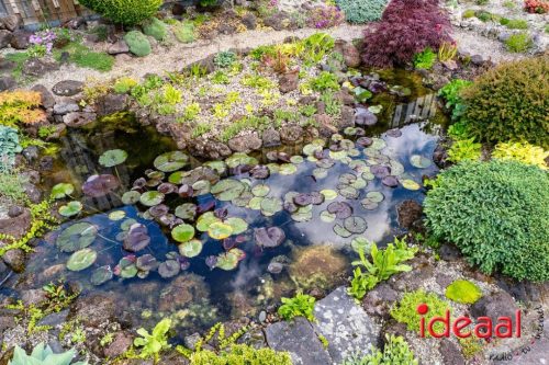 Gorssel Open Tuindag 2025