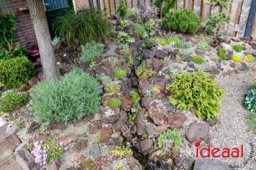 Gorssel Open Tuindag 2025